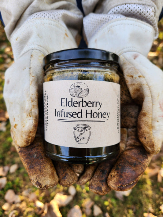 Elderberry Infused Honey