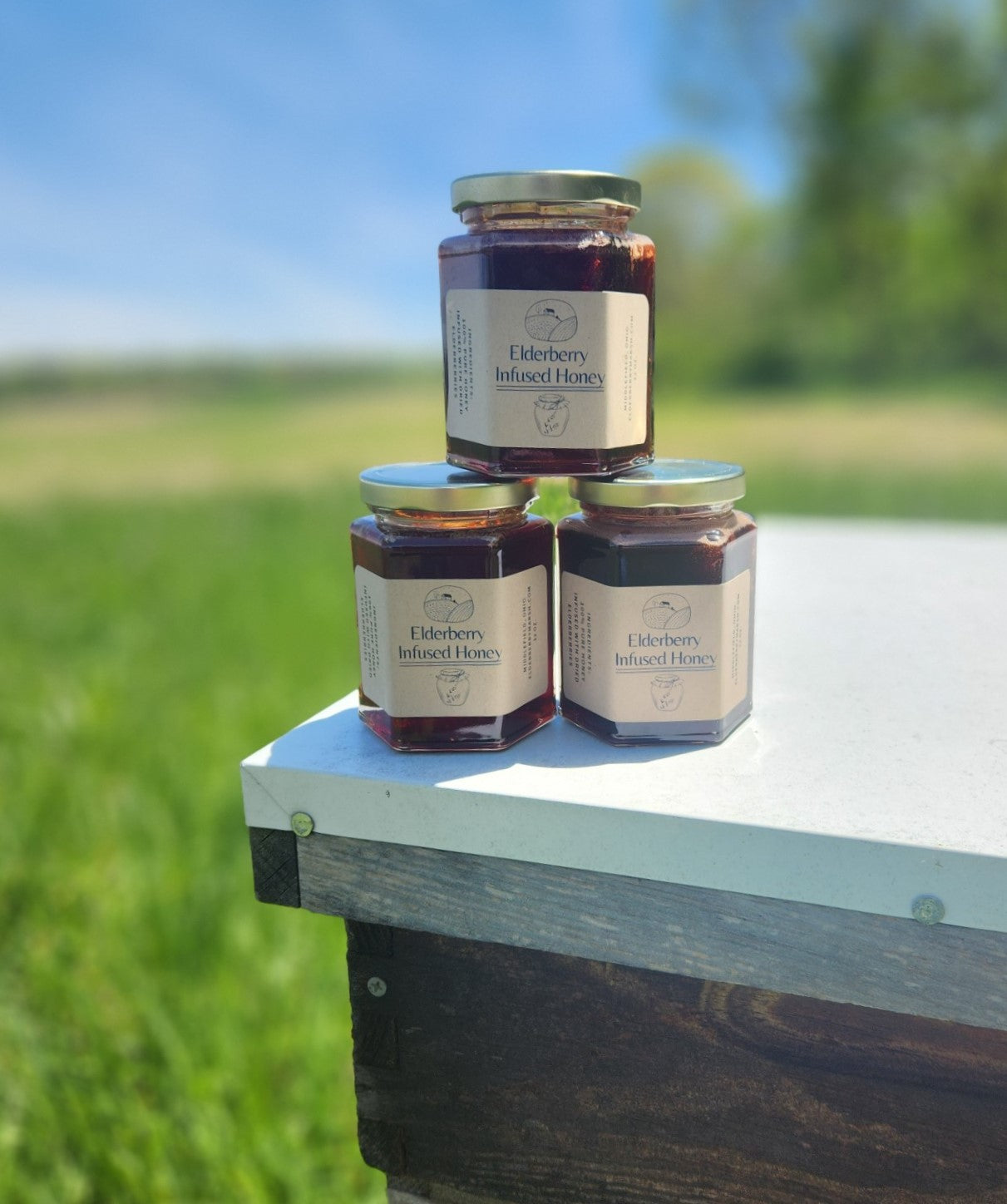 Elderberry Infused Honey
