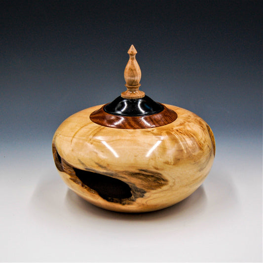 Hollow Form Maple Burl