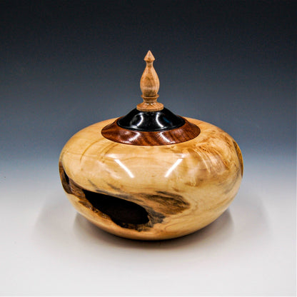 Hollow Form Maple Burl