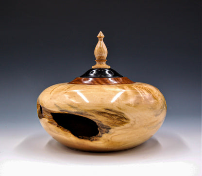 Hollow Form Maple Burl