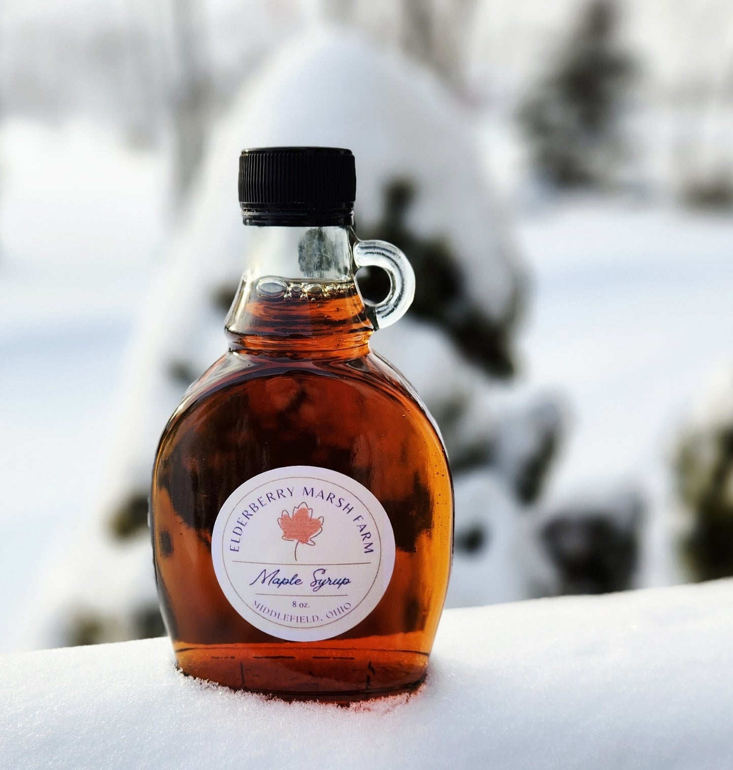 Maple Syrup