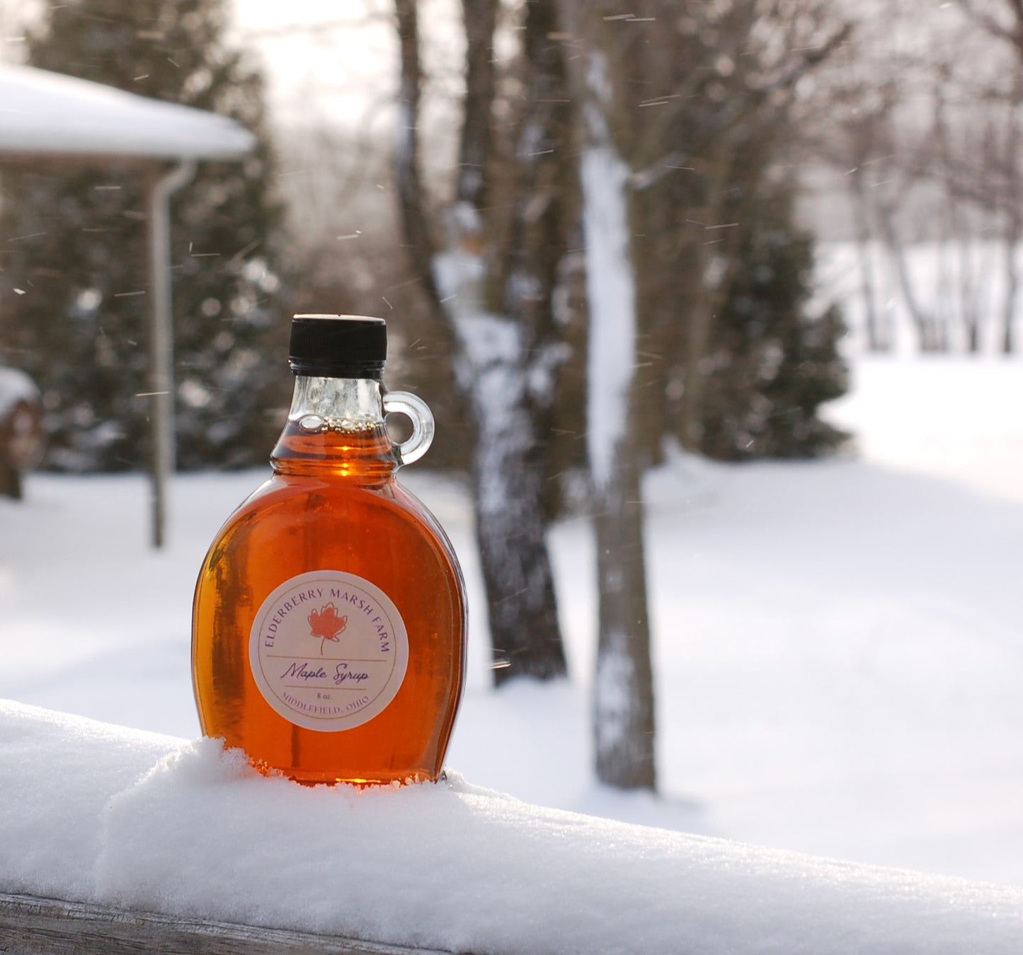 Maple Syrup